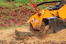 Best Pest Control for Lawns  in Santa Teresa, NM